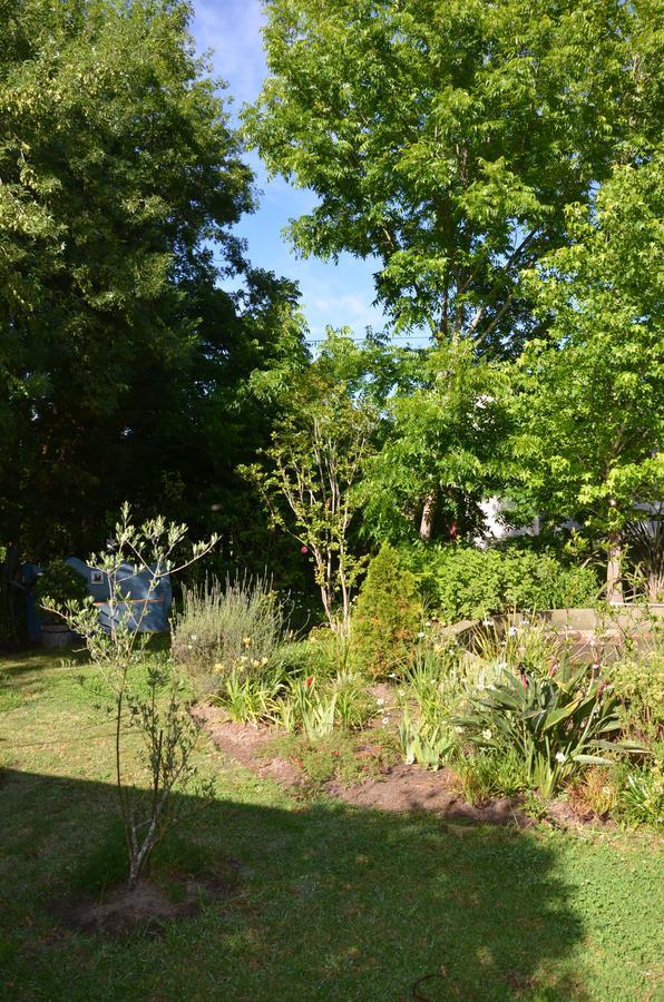 The Blue Door Bed and Breakfast Greyton Exteriör bild